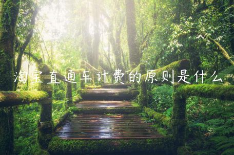 淘宝直通车计费的原则是什么