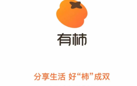 抖音推出种草产品“有柿”APP，可为用户发现更多真实有用经验