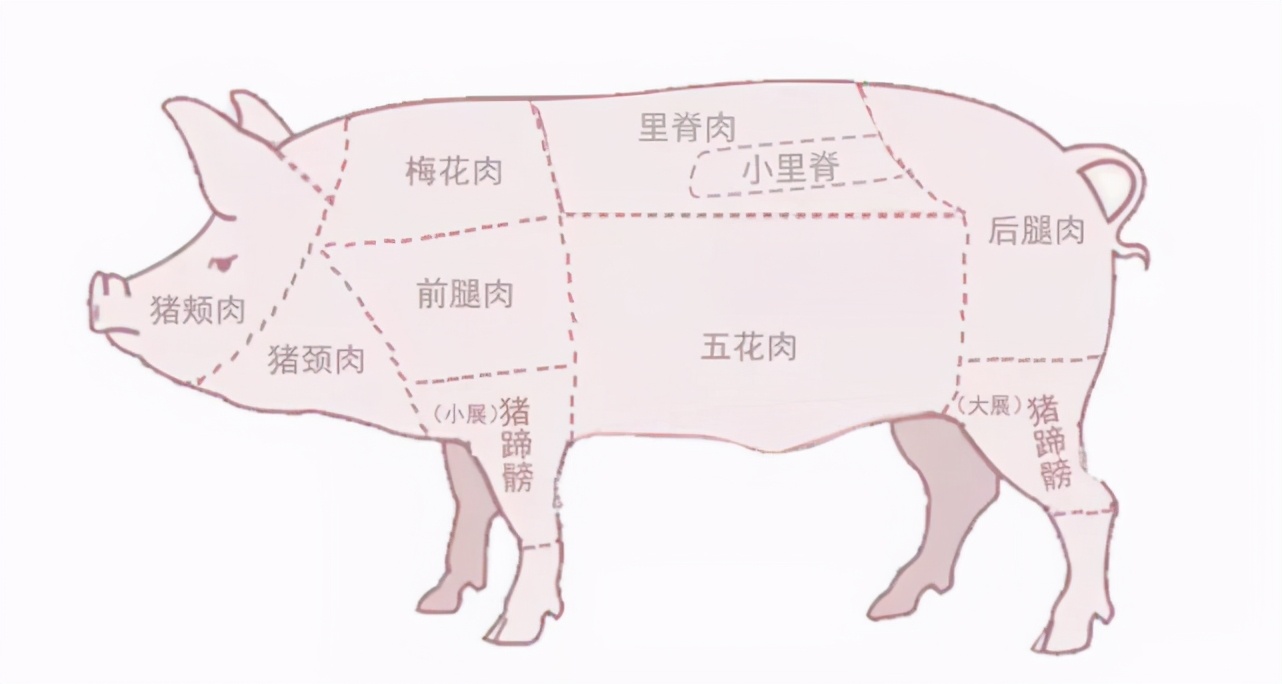 细说猪肉各部位的特点——肉好还得用好