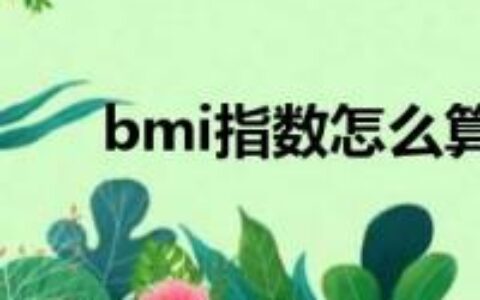 bmi指数怎么算（如何计算BMI指数）