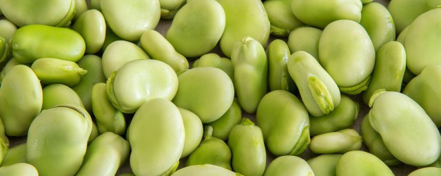 带皮蚕豆如何储存保鲜 新鲜蚕豆如何保存