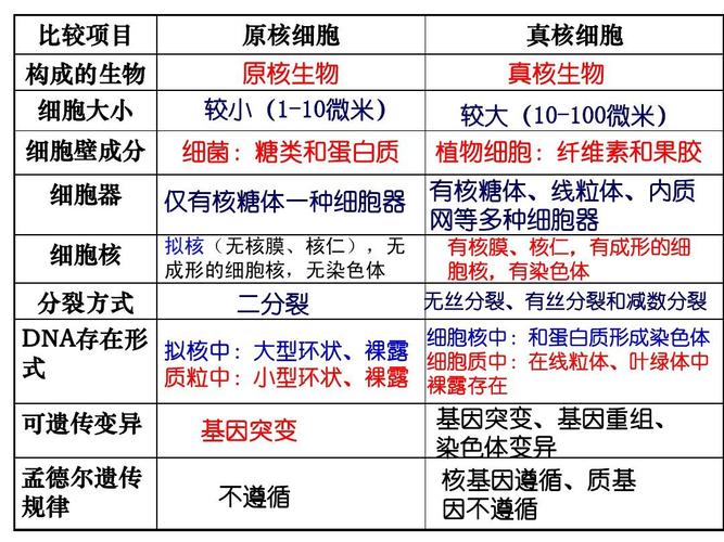 原核生物和真核生物的区别与共同点