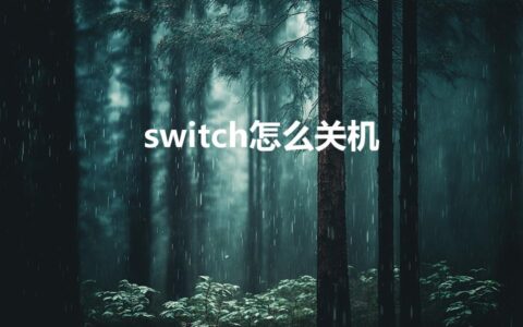 switch怎么关机（switch 怎么关机）