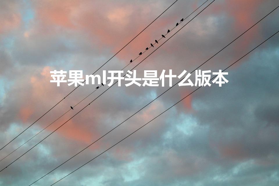 苹果ml开头是什么版本（序列号ml开头啥意思）