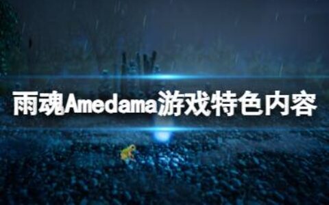 《雨魂》Amedama好玩吗？游戏特色内容介绍