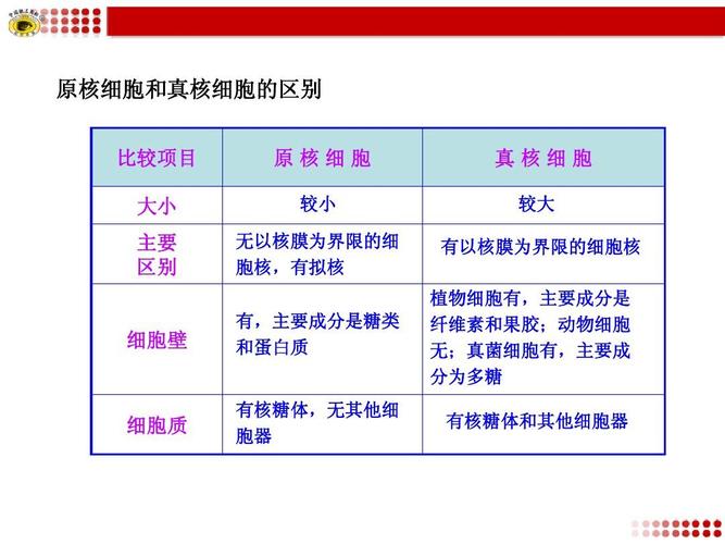 原核生物和真核生物的区别与共同点