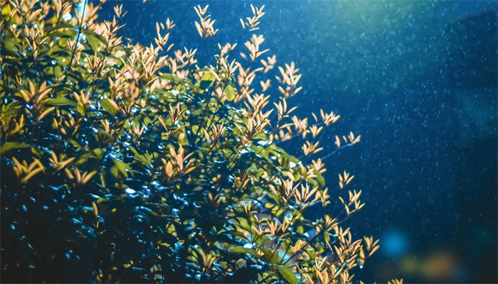 降雨量毫米是什么概念