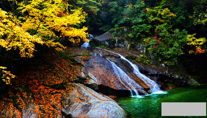 巴山属于四川还是重庆