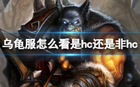 《魔兽世界》乌龟服查看hc方法