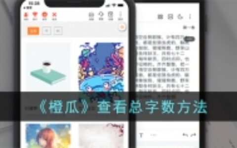 《橙瓜》查看总字数方法