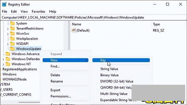 windows11怎么关闭自动更新(关闭win11更新的具体操作方法)