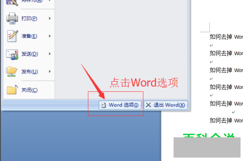 怎么删除Word文档段落标记