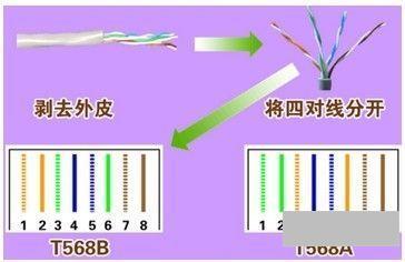 网线接头怎么接(水晶头排线顺序接法图解)