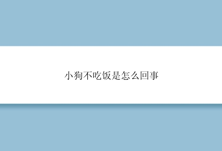 小狗不吃饭是怎么回事