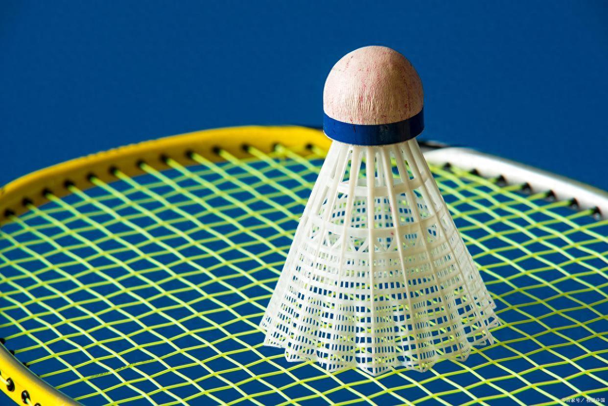羽毛球的规则（羽毛球比赛规则详解）