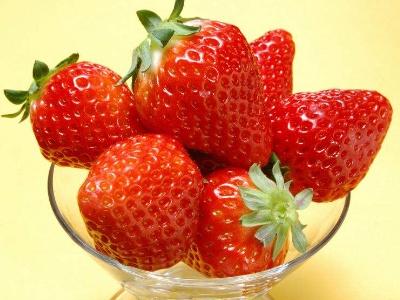 草莓怎么种植方法（草莓的栽培方法）